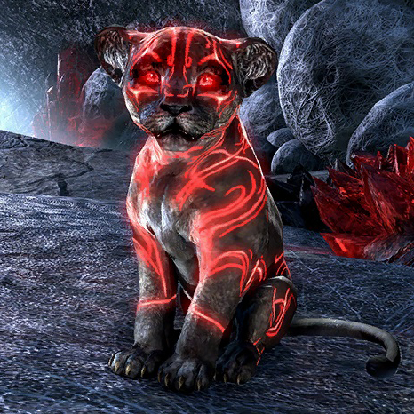 Файл:Детеныш сенча Алого Сожаления-превью.jpg