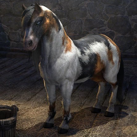 Файл:Арентийский пегий пони-превью.jpg