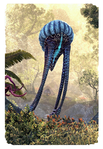 Файл:Детеныш нетча-карта.png