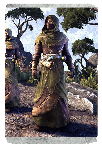 Файл:Жрец Зеленого Леса-карта.png