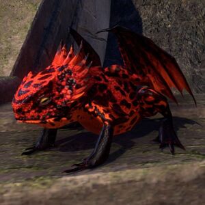 ON-pet-Tangerine Dragon Frog.jpg