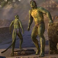 Чешуйчатый любитель солнца-превью.jpg