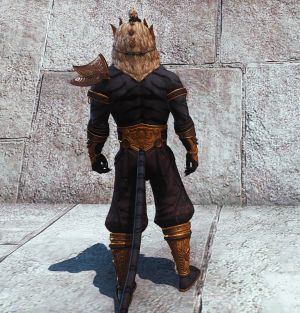 Одежда берсерка драконьей рати-скриншот3(каджит).jpg