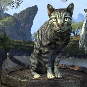 Сенчальская полосатая кошка-превью.jpg