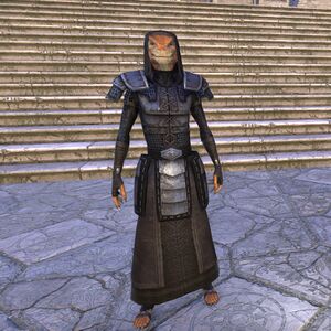 ON-costume-Battlemage Scout Captain Uniform (Male).jpg