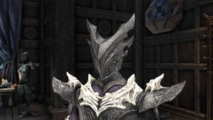 Головной убор ужаса Вермины.jpg