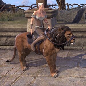 ON-mount-Black Mane Lion.jpg
