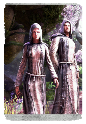 Жрец Мотылька-карта.png