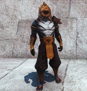 Одежда берсерка драконьей рати-скриншот1(каджит).jpg