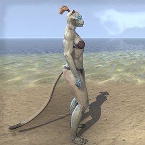 ON-skin-Mind-Shriven (Khajiit) 02.jpg