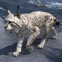 Детеныш тигра-рыси из Орсиниума-превью.jpg