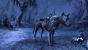 Умалишенный волк.jpg