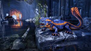 Лавовая саламандра.jpg