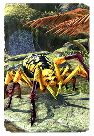 Золотоспинный паук-прислужник-карта.png