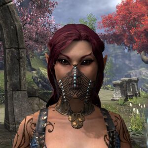ON-minor adornment-Belly Dancer Veil.jpg