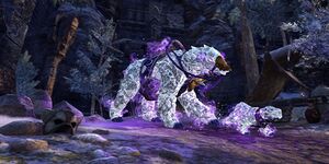 Комплект «Лунные медведи».jpg