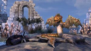 Рифовая гадюка с гребнем.jpg