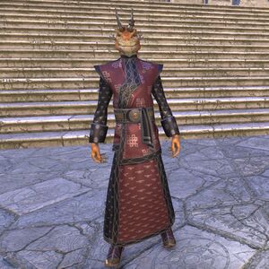 ON-costume-Brilliance Brocade Robes (Male).jpg