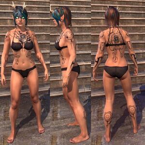 ON-body marking-Aurbical Symbols 02.jpg