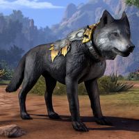 Волк охотника на древних драконов-превью.jpg