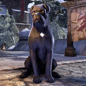 Черный морфальский мастиф-превью.jpg