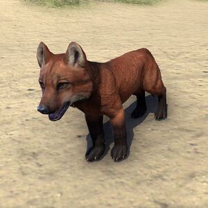 ON-pet-Red Pit Wolf Pup.jpg