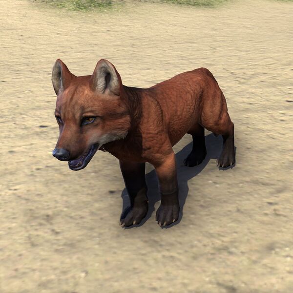 Файл:ON-pet-Red Pit Wolf Pup.jpg