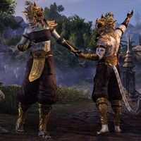 Одежда берсерка драконьей рати-превью.jpg