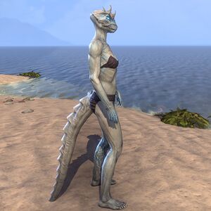 ON-skin-Mind-Shriven (Argonian) 02.jpg
