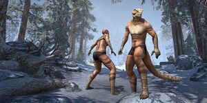 Весенний молодой эшалет.jpg