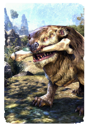 Длинношерстная вельва-карта.png