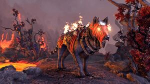 Волк Драконьего огня.jpg