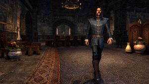 Вэйрестский костюм с замшевым дублетом.jpg