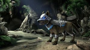 Волчонок Новой Луны.jpg