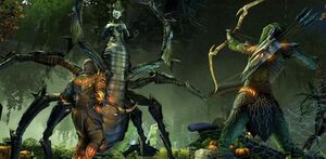 Праздник Неустрашимых 2017.jpg