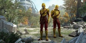 Набор доспехов стража Балфиеры.jpg