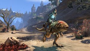 Гуар баандарских коробейников.jpg