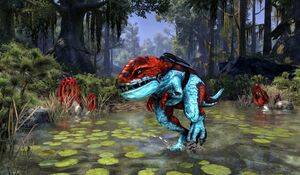 Гуар небесного огня.jpg