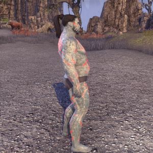 ON-skin-Sanguine's Disciple (male) 02.jpg