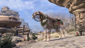 Сенч-лев Анка-Ра.jpg