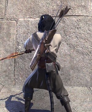 Лук Заан-скриншот1.jpg