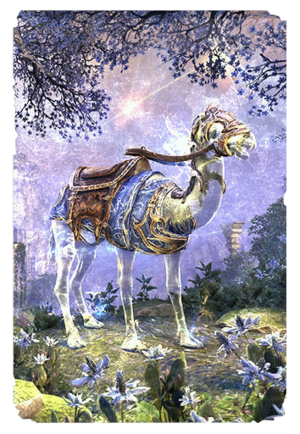 Эталонный верблюд Псиджиков-карта.png