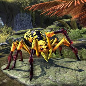 Золотоспинный паук-прислужник-превью.jpg