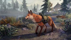 Лиса янтарных сумерек.jpg