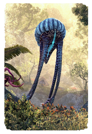 Детеныш нетча-карта.png