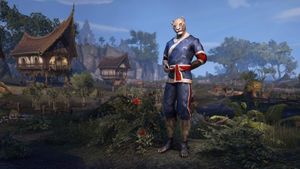 Костюм фестиваля лунного сахара.jpg