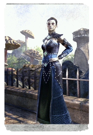 Официальное платье «Дань предкам»-карта.png