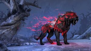 Верховой теневой сенч.jpg