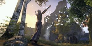 Выпуск голубей.jpg