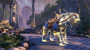 Эталонный медведь Псиджиков.jpg